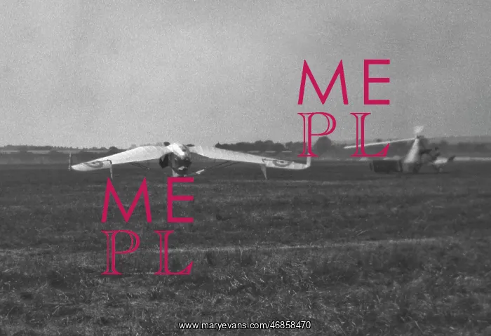 : Two gliders in a field, Pterodactyl IV and Cierva C.19 : Two gliders in a field, Pterodactyl IV and Cierva C.19