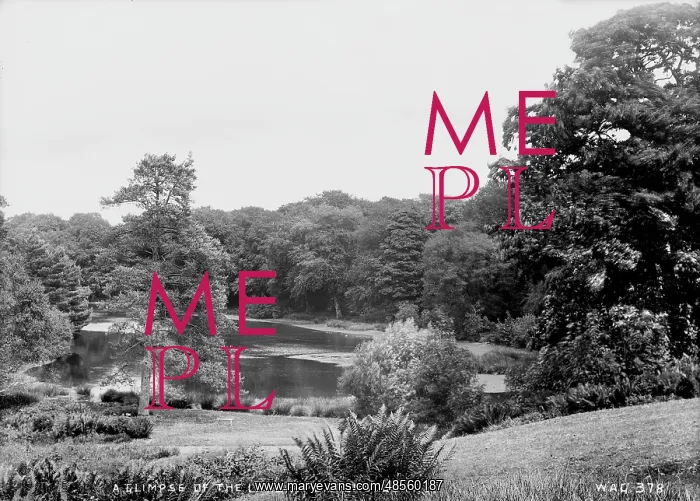 : A Glimpse of the Lake at Baronscourt : A Glimpse of the Lake at Baronscourt