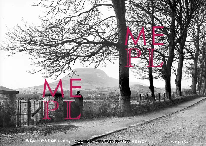 : A Glimpse of Lurig from the Beach Rd. Cushendall : A Glimpse of Lurig from the Beach Rd. Cushendall
