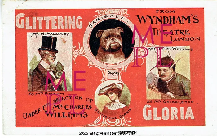 : Glittering Gloria by Hugh Morton : Glittering Gloria by Hugh Morton