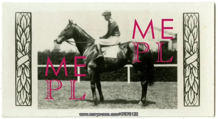 : Gloaming, Australian race horse : Gloaming, Australian race horse
