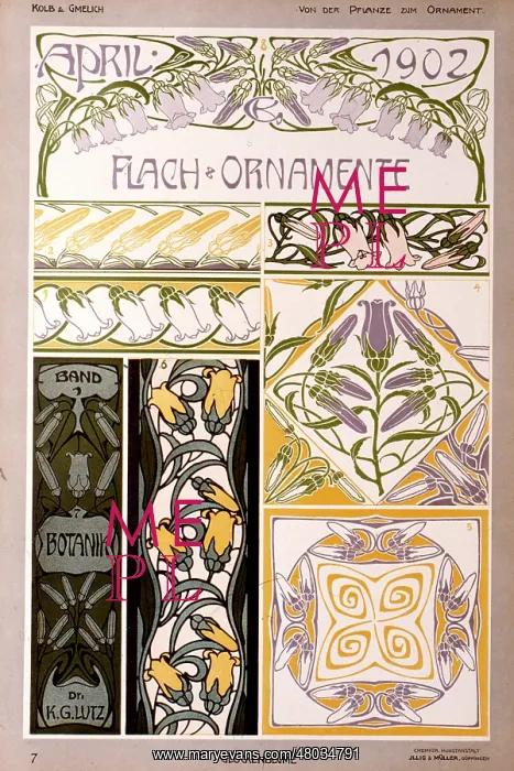 : Glockenblume (Bellflowers) by Kolb and Gmelich : Glockenblume (Bellflowers) by Kolb and Gmelich