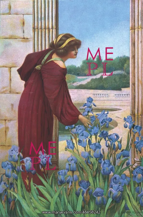 : THE GLORY OF SPRING : THE GLORY OF SPRING