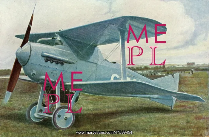 : GLOSTER BAMEL : GLOSTER BAMEL
