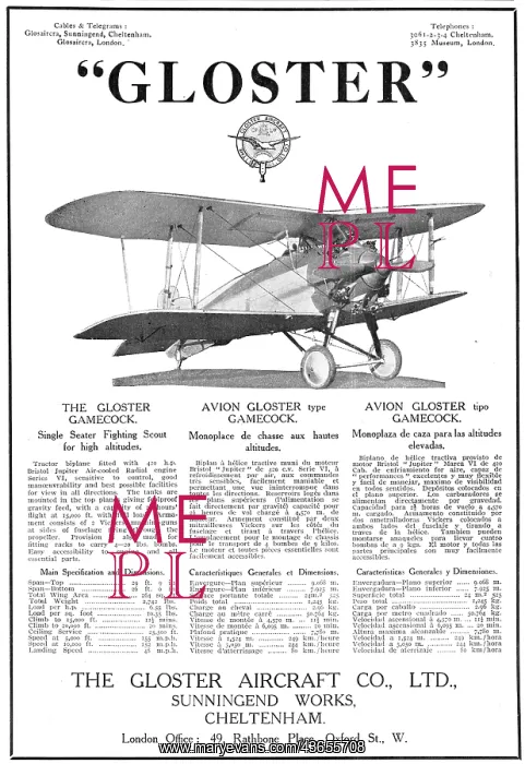 : Gloster Gamecock 1925 : Gloster Gamecock 1925