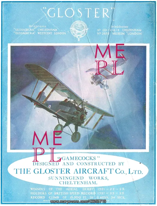  : Gloster Gamecock