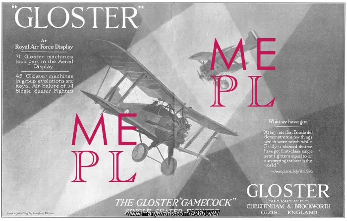 : Gloster Gamecock : Gloster Gamecock