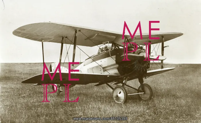  : Gloster Gamecock
