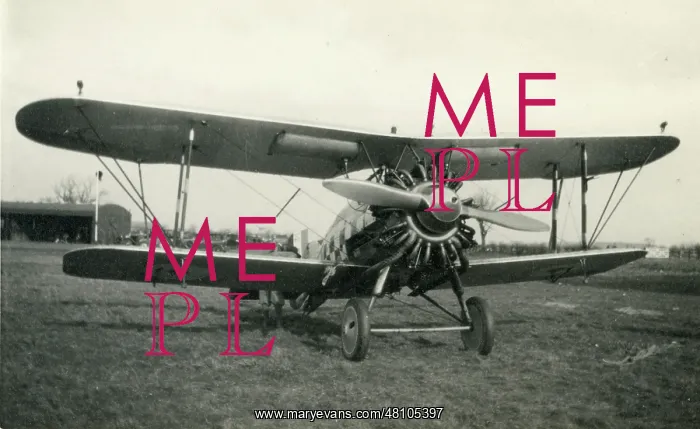  : Gloster Gamecock