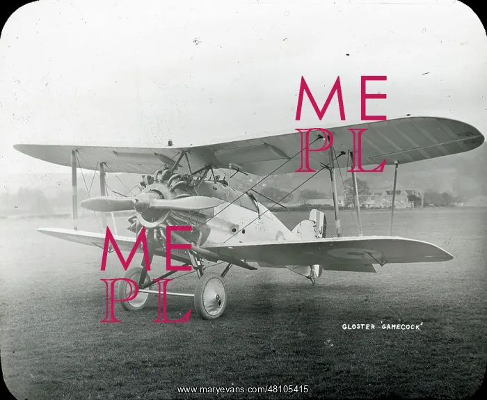  : Gloster Gamecock