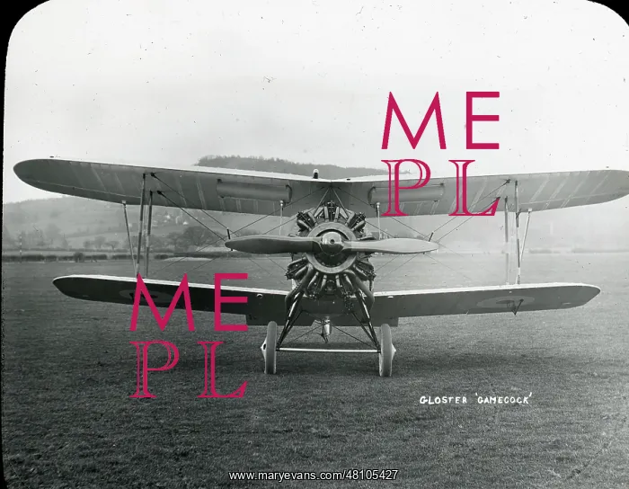  : Gloster Gamecock