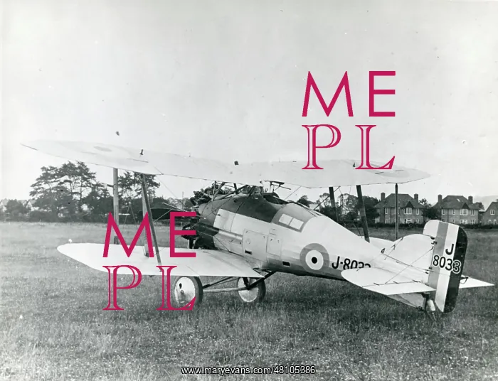: Gloster Gamecock I, J8033 : Gloster Gamecock I, J8033