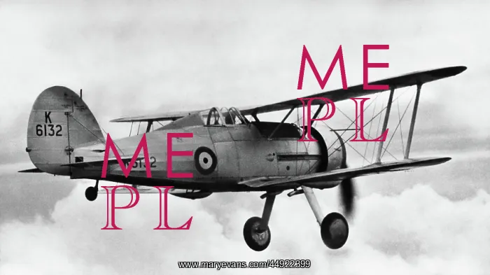 : Gloster Gladiator 1 : Gloster Gladiator 1