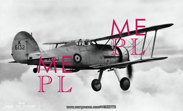 : Gloster Gladiator 1 : Gloster Gladiator 1