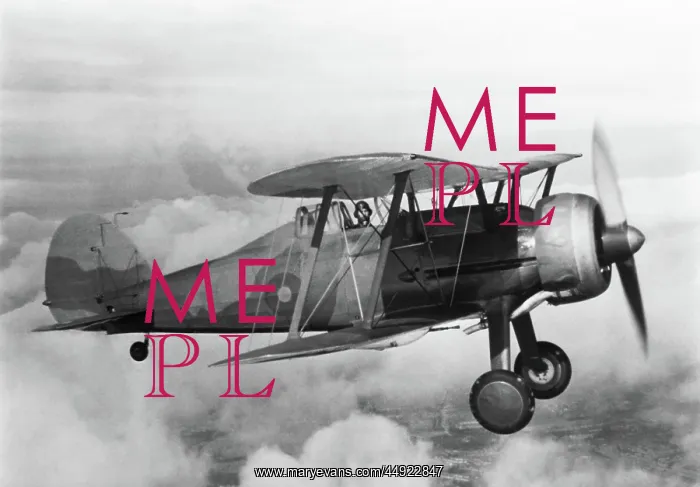 : Gloster Gladiator 1 : Gloster Gladiator 1