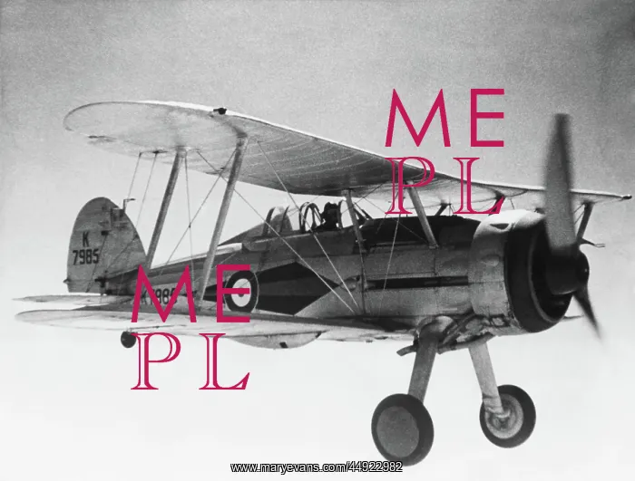: Gloster Gladiator 1 : Gloster Gladiator 1