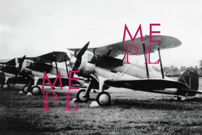: Gloster Gladiator 1 : Gloster Gladiator 1