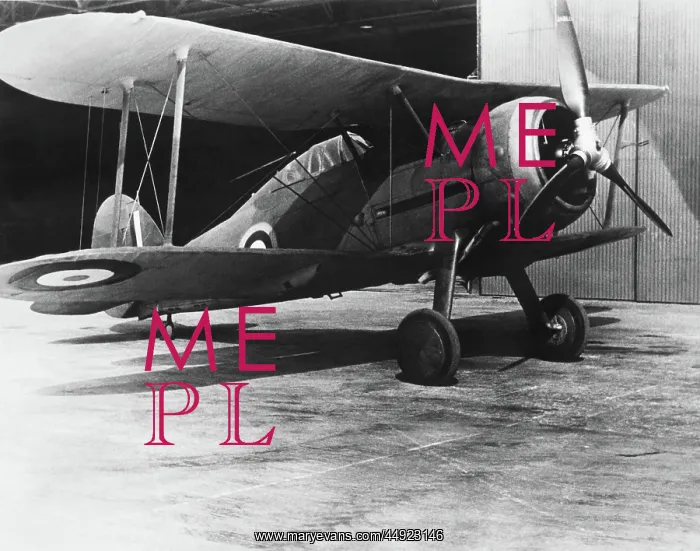 : Gloster Gladiator 1 : Gloster Gladiator 1