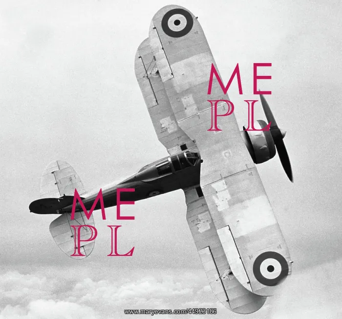 : Gloster Gladiator 1 : Gloster Gladiator 1
