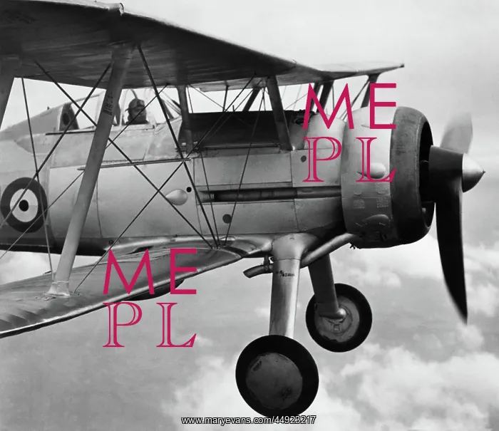 : Gloster Gladiator 1 : Gloster Gladiator 1