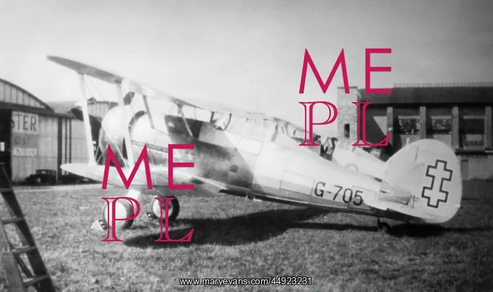 : Gloster Gladiator 1 : Gloster Gladiator 1