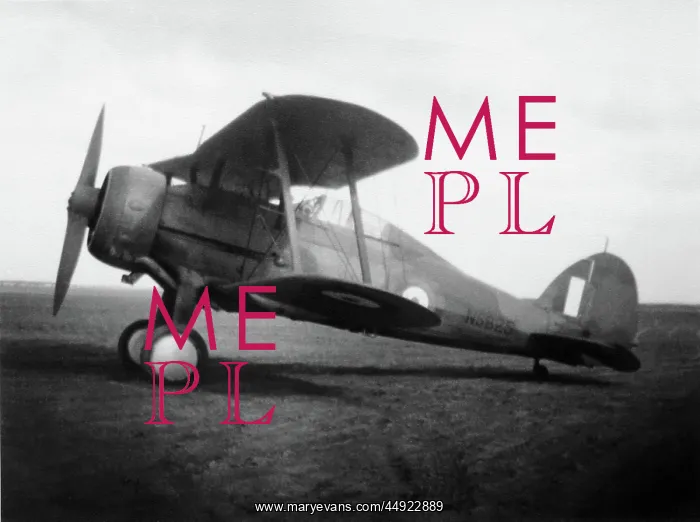 : Gloster Gladiator 2 : Gloster Gladiator 2