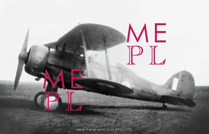  : Gloster Gladiator 2