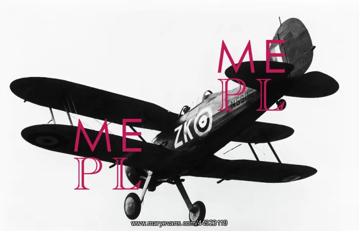 : Gloster Gladiator 2 : Gloster Gladiator 2