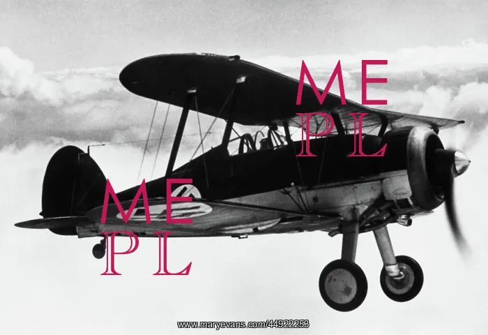 : Gloster Gladiator : Gloster Gladiator