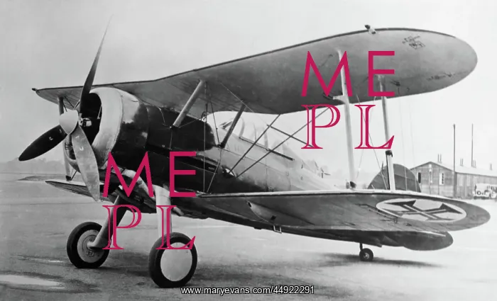 : Gloster Gladiator : Gloster Gladiator