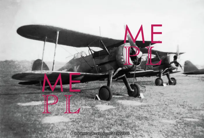 : Gloster Gladiator : Gloster Gladiator