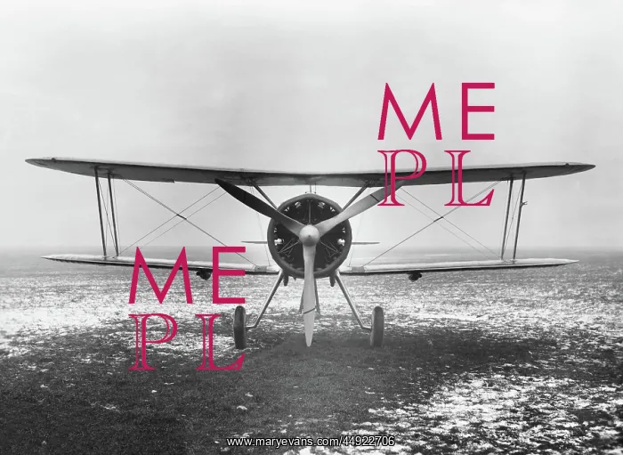 : Gloster Gladiator : Gloster Gladiator