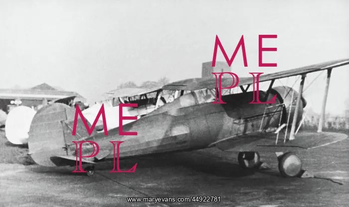: Gloster Gladiator : Gloster Gladiator