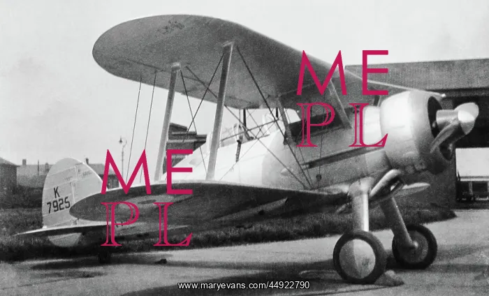 : Gloster Gladiator : Gloster Gladiator