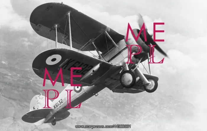 : Gloster Gladiator : Gloster Gladiator