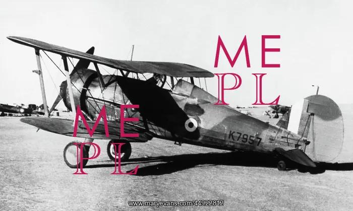 : Gloster Gladiator : Gloster Gladiator