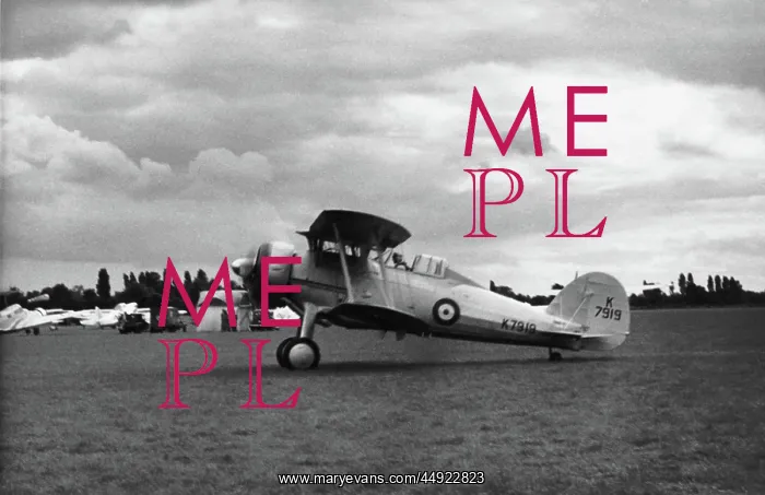 : Gloster Gladiator : Gloster Gladiator