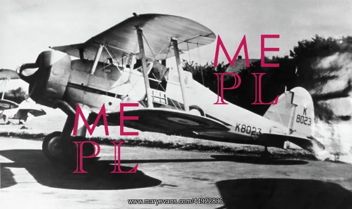 : Gloster Gladiator : Gloster Gladiator