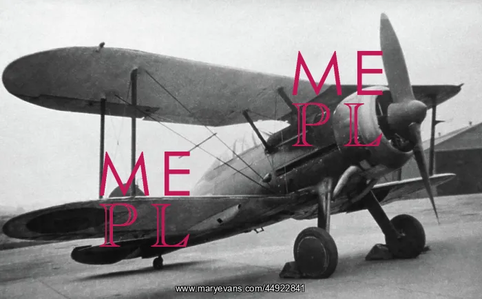 : Gloster Gladiator : Gloster Gladiator