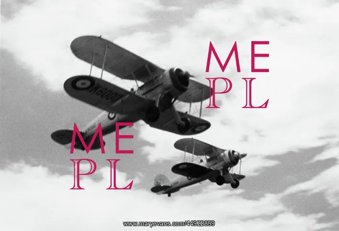 : Gloster Gladiator : Gloster Gladiator