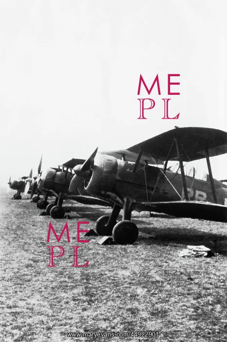 : Gloster Gladiator : Gloster Gladiator