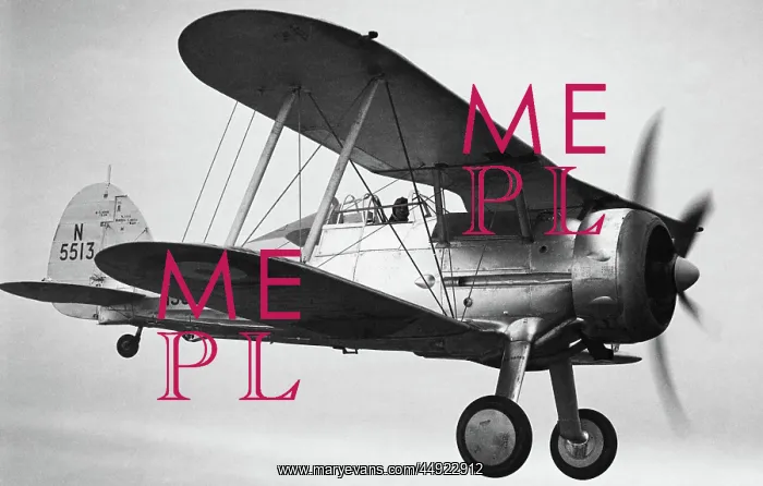 : Gloster Gladiator : Gloster Gladiator