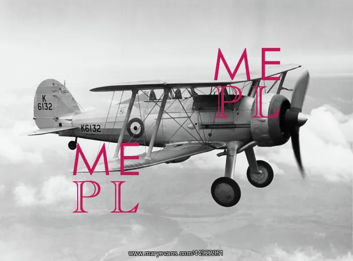 : Gloster Gladiator : Gloster Gladiator