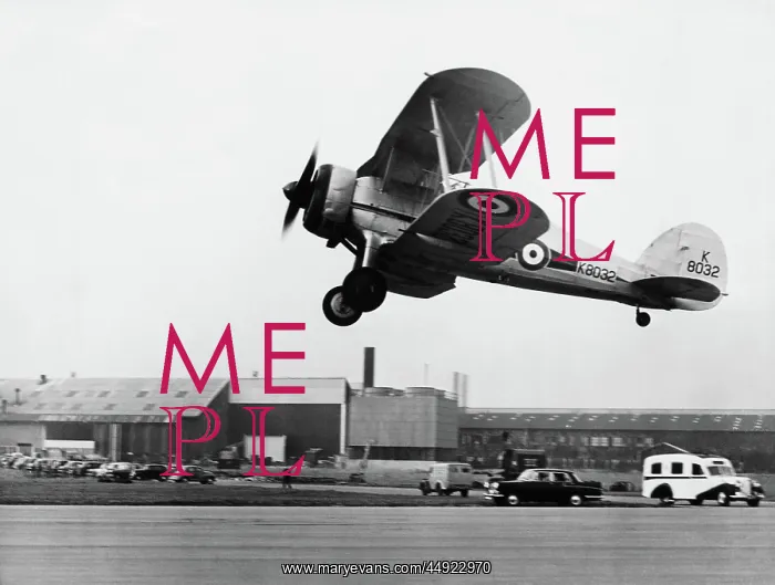 : Gloster Gladiator : Gloster Gladiator