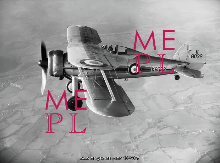 : Gloster Gladiator : Gloster Gladiator
