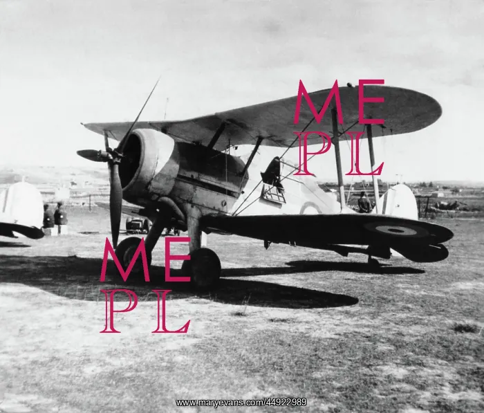 : Gloster Gladiator : Gloster Gladiator