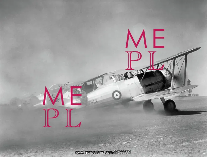 : Gloster Gladiator : Gloster Gladiator