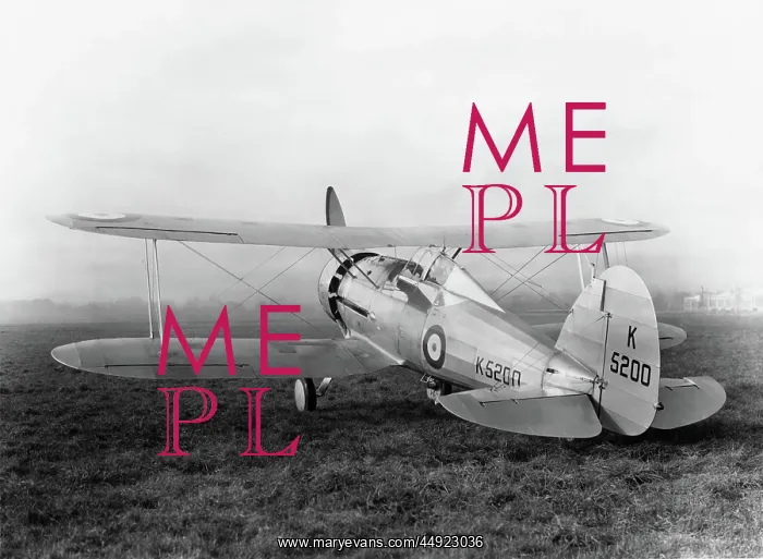 : Gloster Gladiator : Gloster Gladiator