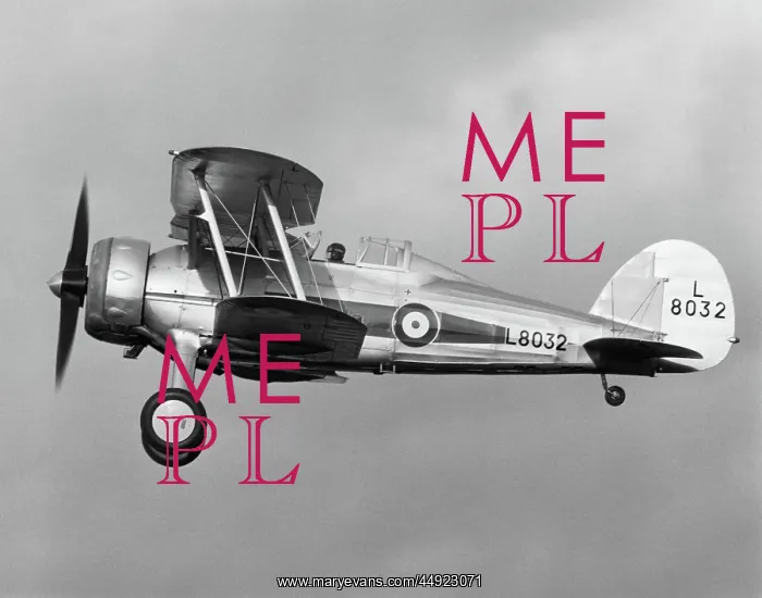 : Gloster Gladiator : Gloster Gladiator