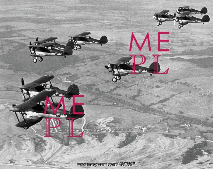 : Gloster Gladiator : Gloster Gladiator